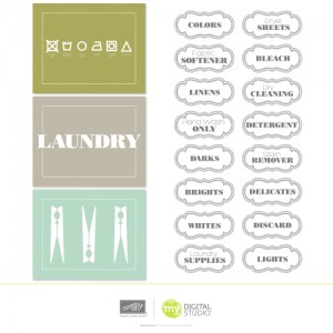 MDS Label this Laundry download