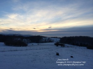 Snow Storm January 2014 (3)