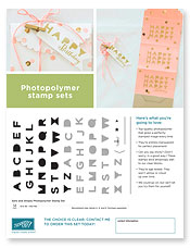 Sans and Stripes Photopolymer Flyer Image