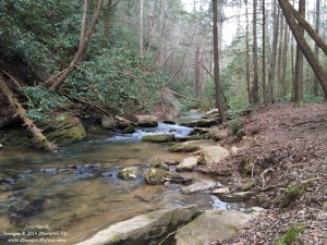 Panthers Creek hike (2)