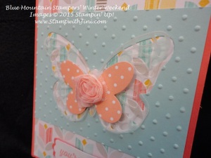 Butterfly Thinlits close up Blue Mountain Stampers Winter Weekend Retreat Shoebox swap (2)