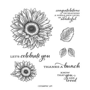 Celebrate Sunflowers