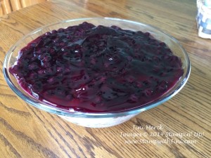 Blueberries in the Snow recipe image