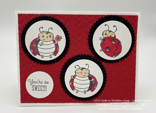 The adorable Little Ladybug | Stamp, Scrap & Create with Me