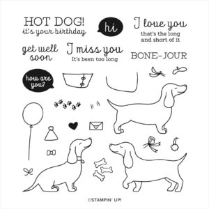 https://www.stampinup.com/products/hot-dog-photopolymer-stamp-set?dbwsdemoid=2048121